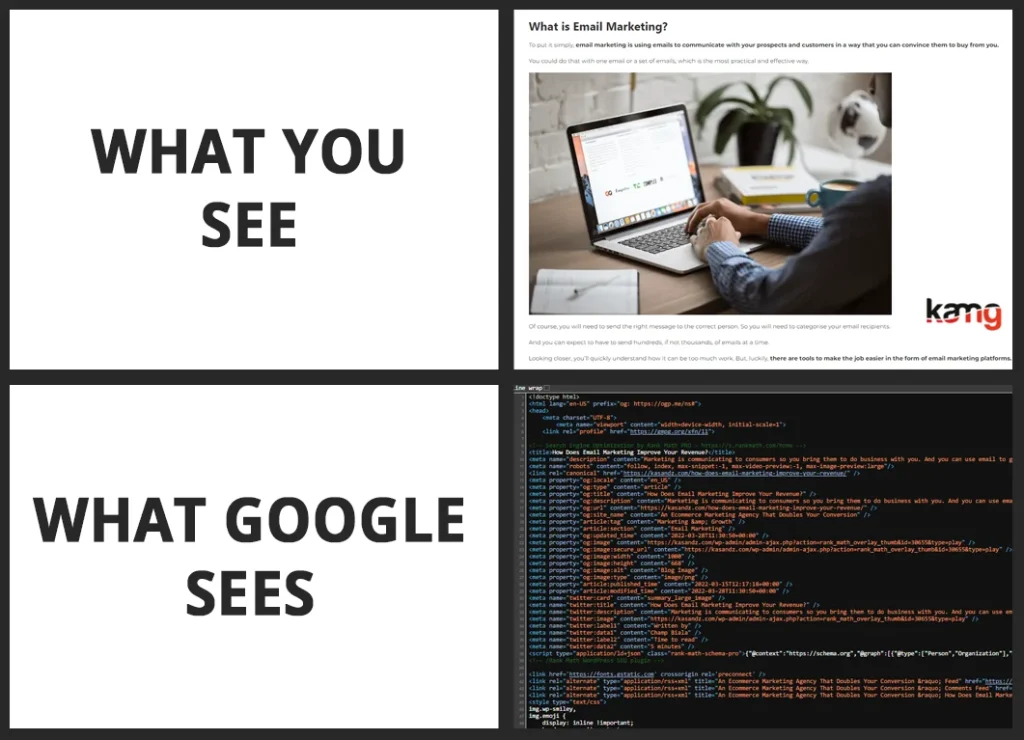 pasted image