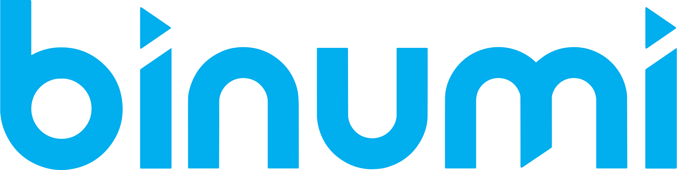 logo-binumi